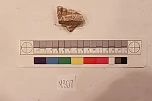 Stucco Fragment by Unknown Artist