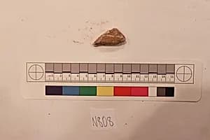 Stucco Fragment by Unknown Artist