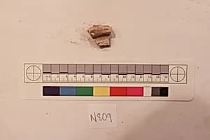 Stucco Fragment by Unknown Artist