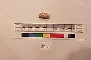 Stucco Fragment by Unknown Artist