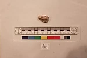Stucco Fragment by Unknown Artist