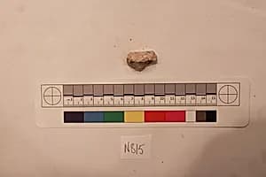 Stucco Fragment by Unknown Artist