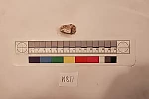 Stucco Fragment by Unknown Artist