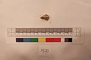 Stucco Fragment by Unknown Artist