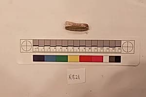 Stucco Fragment by Unknown Artist