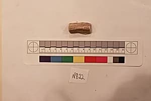 Stucco Fragment by Unknown Artist