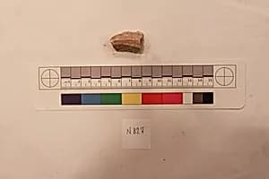 Stucco Fragment by Unknown Artist