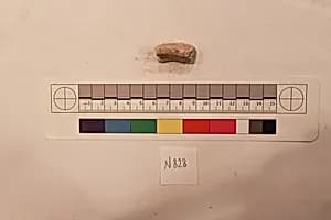 Stucco Fragment by Unknown Artist