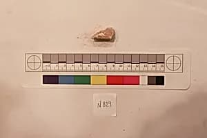Stucco Fragment by Unknown Artist
