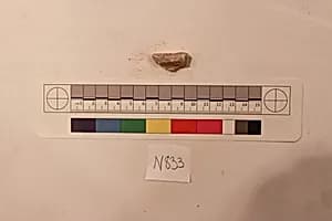 Stucco Fragment by Unknown Artist
