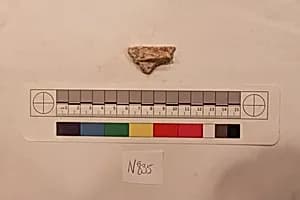 Stucco Fragment by Unknown Artist