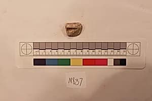 Stucco Fragment by Unknown Artist