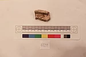 Stucco Fragment by Unknown Artist