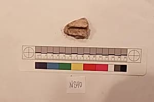 Stucco Fragment by Unknown Artist