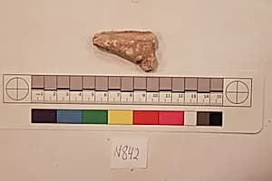 Stucco Fragment by Unknown Artist