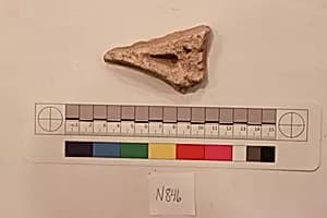 Stucco Fragment by Unknown Artist