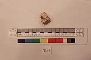 Stucco Fragment by Unknown Artist