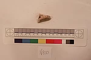 Stucco Fragment by Unknown Artist