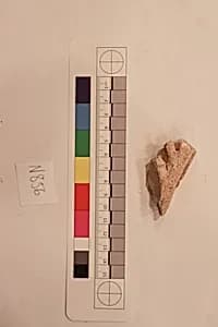 Stucco Fragment by Unknown Artist