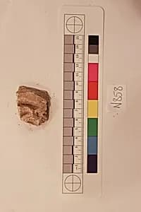 Stucco Fragment by Unknown Artist