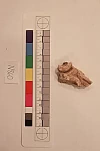 Stucco Fragment by Unknown Artist