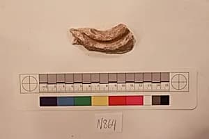 Stucco Fragment by Unknown Artist