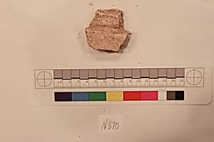 Stucco Fragment by Unknown Artist