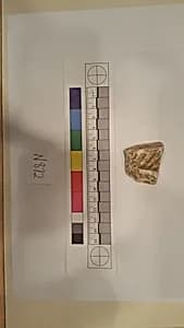 Stucco Fragment by Unknown Artist