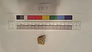 Stucco Fragment by Unknown Artist
