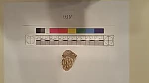Stucco Fragment by Unknown Artist