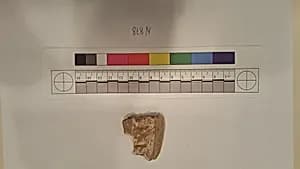Stucco Fragment by Unknown Artist