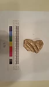 Stucco Fragment by Unknown Artist