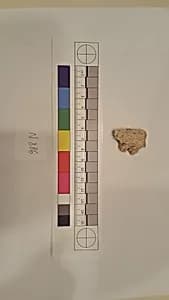 Stucco Fragment by Unknown Artist