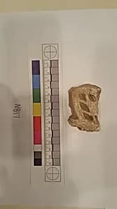 Stucco Fragment by Unknown Artist