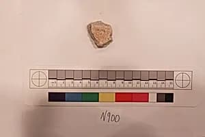 Stucco Fragment by Unknown Artist