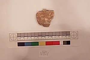 Stucco Fragment by Unknown Artist