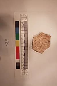 Stucco Fragment by Unknown Artist