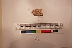 Stucco Fragment by Unknown Artist