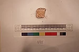 Stucco Fragment by Unknown Artist