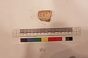 Stucco Fragment by Unknown Artist