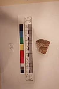 Stucco Fragment by Unknown Artist