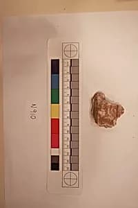 Stucco Fragment by Unknown Artist