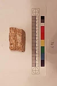 Stucco Fragment by Unknown Artist