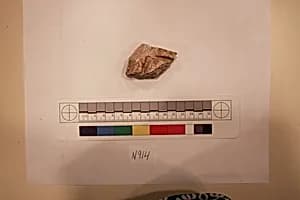 Stucco Fragment by Unknown Artist