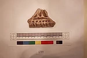 Stucco Fragment by Unknown Artist