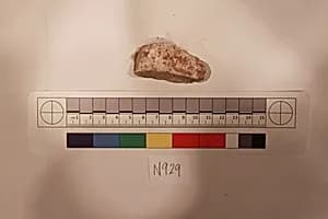 Stucco Fragment by Unknown Artist
