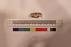 Stucco Fragment by Unknown Artist