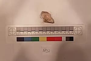 Stucco Fragment by Unknown Artist
