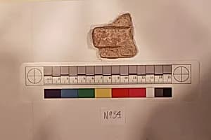 Stucco Fragment by Unknown Artist