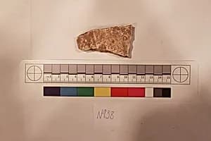 Stucco Fragment by Unknown Artist